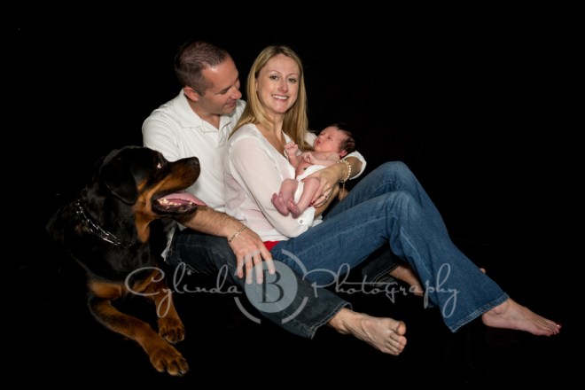 family portrait, dog, Rottweiler, newborn 
