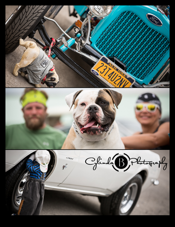 car show, syracuse nationals, bull dog