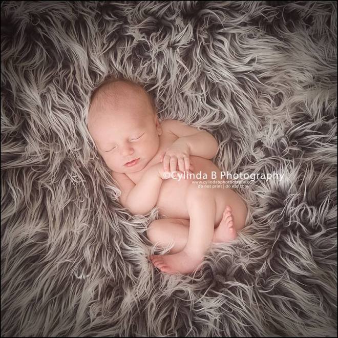 newborn photography, baby boy, newborn photographer, in basket