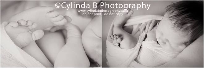 Newborn Photography, Syracuse NY, Photographer, Newborn, Photos, Cylinda B Photography