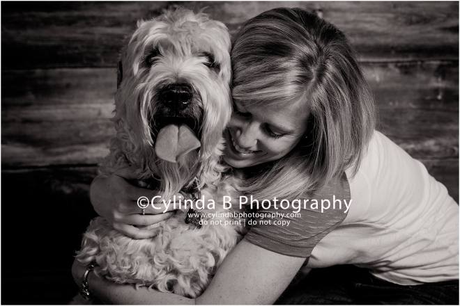 soft coated Wheaten Terrier, pet photography, syracuse ny, dog, portraits, cylinda b photography, family