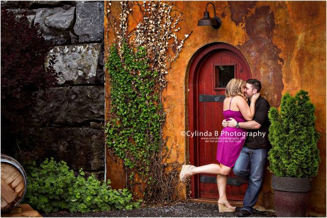 skaneateles, engagement, photos, NY, Anyela's, cylinda b photography