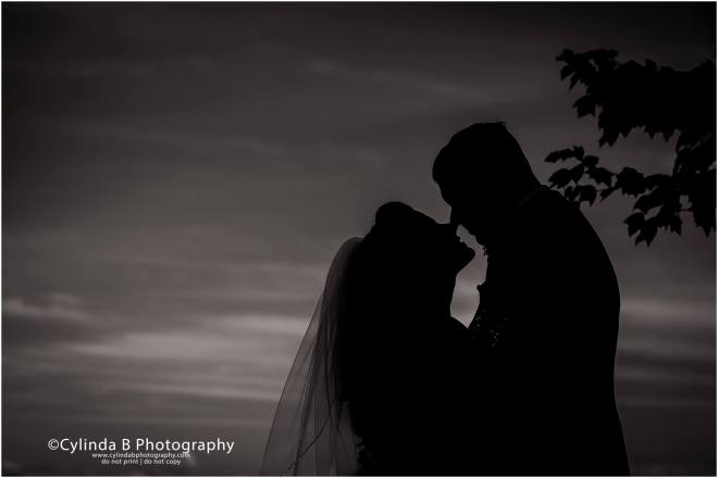 wedding, photography, emerson park, auburn, cylinda b photography, portraits, bride and groom