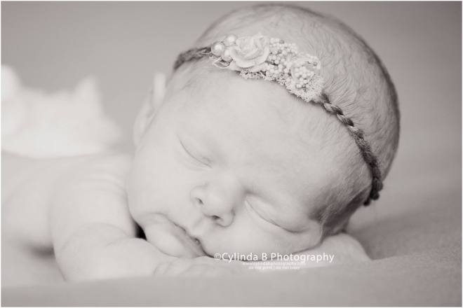 newborn, photos, syracuse, photography, cylinda b photography