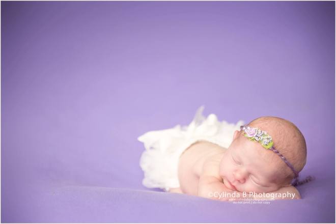 newborn, photos, syracuse, photography, cylinda b photography