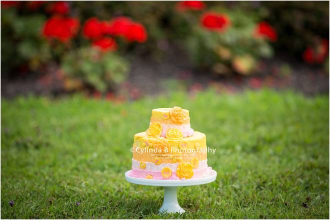 syracuse, ny, photography, cake smash, cylinda b photography, cake