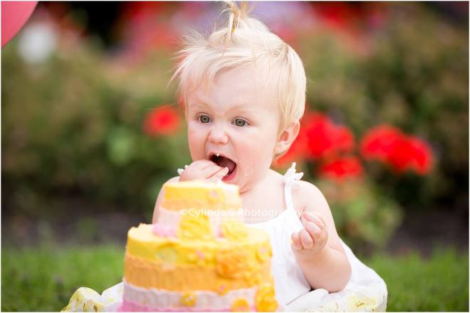 syracuse, ny, photography, cake smash, cylinda b photography, baby girl