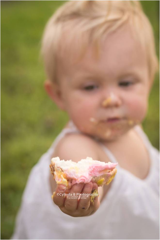 syracuse, ny, photography, cake smash, cylinda b photography, baby girl