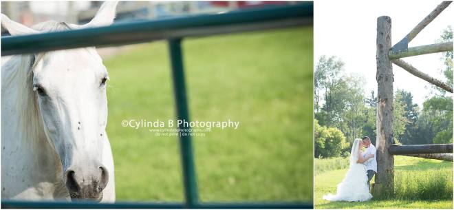 Syracuse, Wedding, Photography, MKJ farms, Cylinda B Photography-35