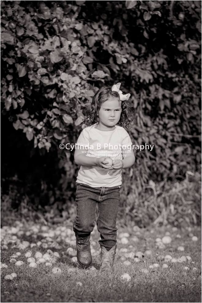 Gender Reveal, Cake, Family Portraits, Cylinda B Photography, Syracuse-2