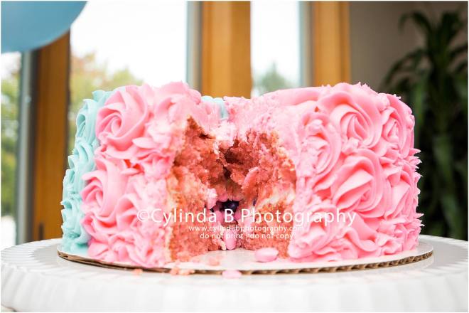 Gender Reveal, Cake, Family Portraits, Cylinda B Photography, Syracuse-22
