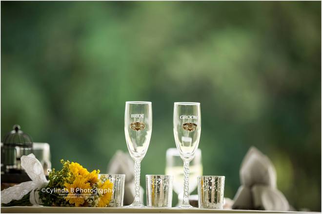 Wellington house wedding, fayetteville, NY, Wedding, cylinda b photography, syracuse wedding-46