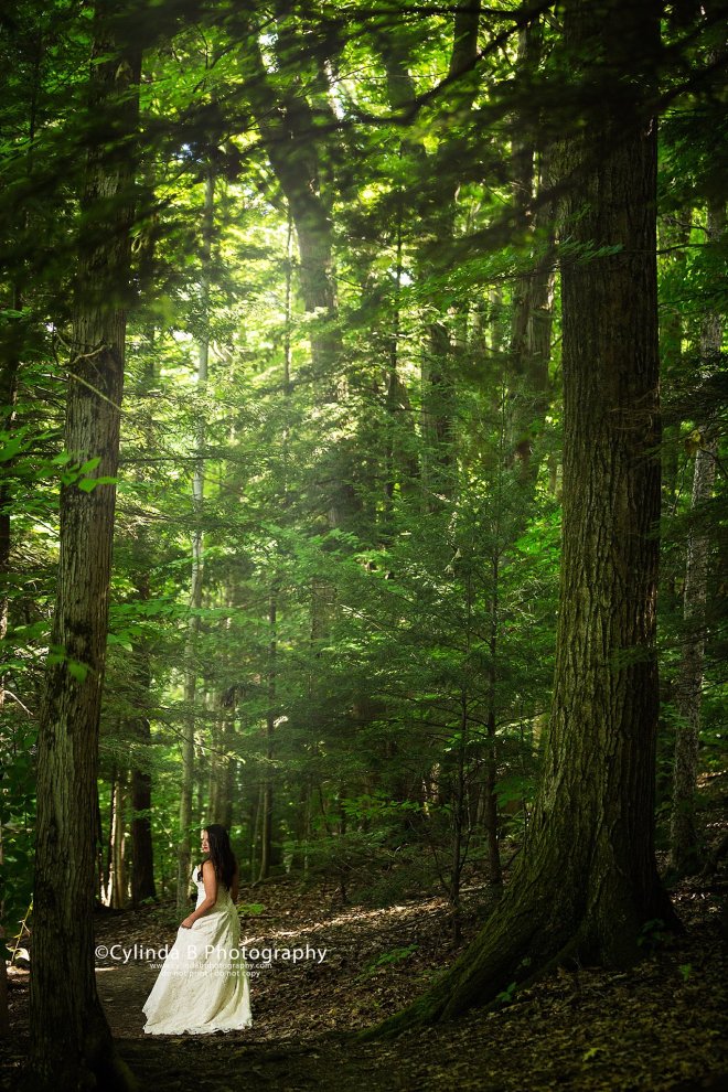 trash the dress, waterfall, carpenter falls, cylinda b photography-2