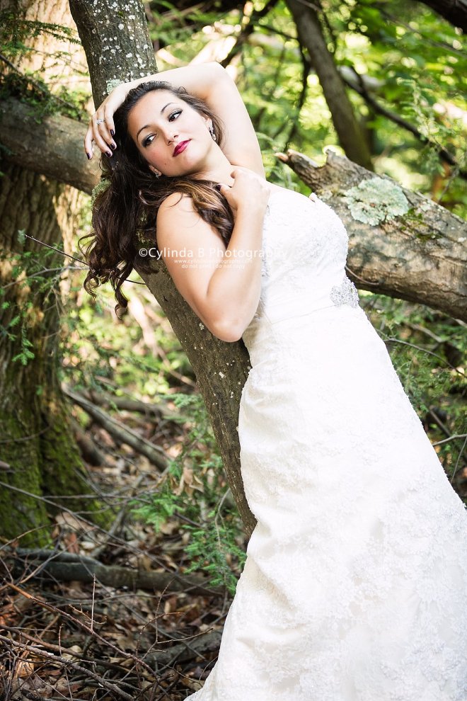 trash the dress, waterfall, carpenter falls, cylinda b photography-3