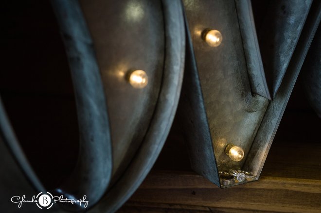 Hayloft on the Arch, Wedding, Vernon Wedding, Cylinda B Photography, Rustic, Photos-13