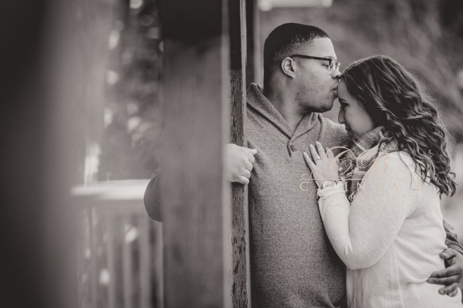 baldwinsville-engagement-red-mill-inn-syracuse-engagement-photos-cylinda-b-photography-20